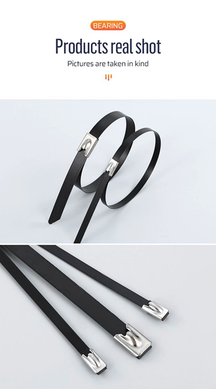 Plastic Spraying Black Stainless Steel Metal Zip Cable Ties Mount