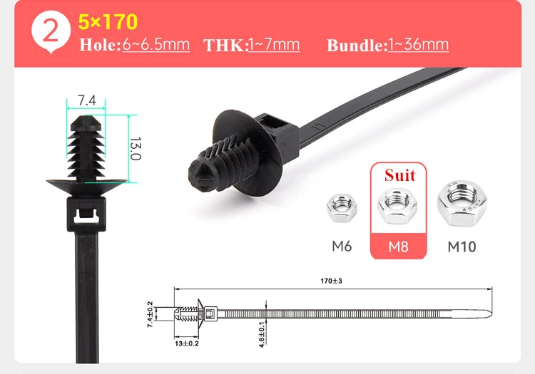 Screw Thread Head Fixing Push Mounts Zip Ties