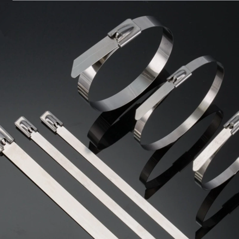 SS316/304 Stainless Steel Cable Ties Metal Zip Tie Mounts